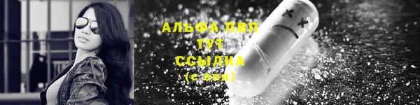 ГАЛЛЮЦИНОГЕННЫЕ ГРИБЫ Горно-Алтайск