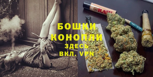 винт Вяземский