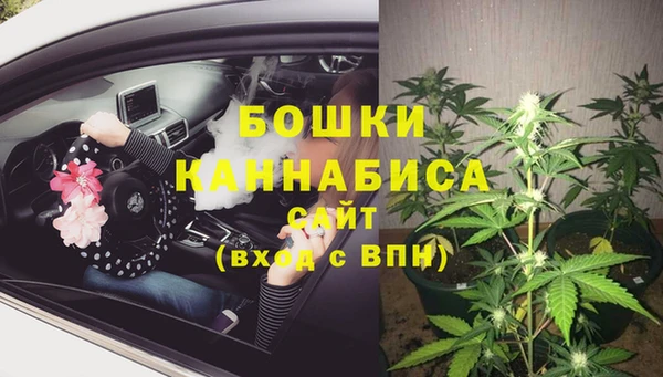 ГАЛЛЮЦИНОГЕННЫЕ ГРИБЫ Горно-Алтайск
