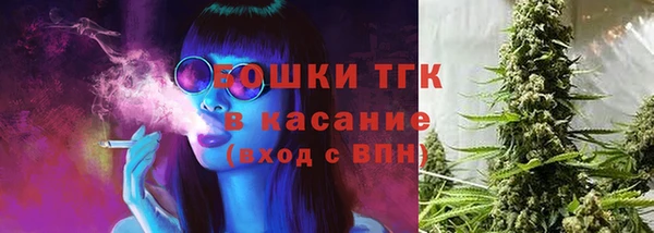 винт Вяземский